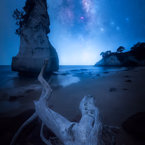 Blue New Zealand