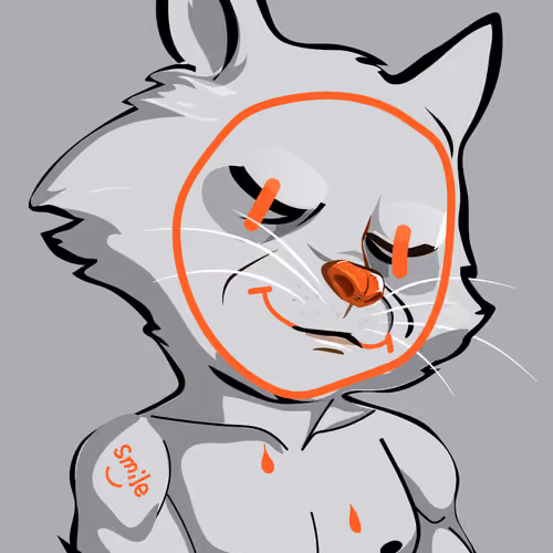 Raccoon-487