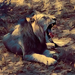 Lioness Earth
