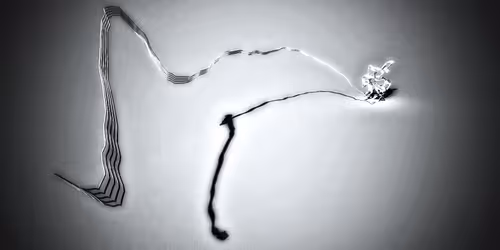 Item #59104478933043192408718763296432042781204455726704803080814606505692085878785 Media