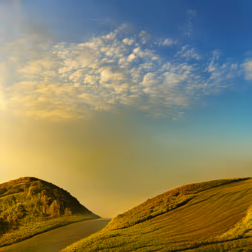 Item #1882666940365556208838008981715268483697517758727966198261289281836915097601 Media