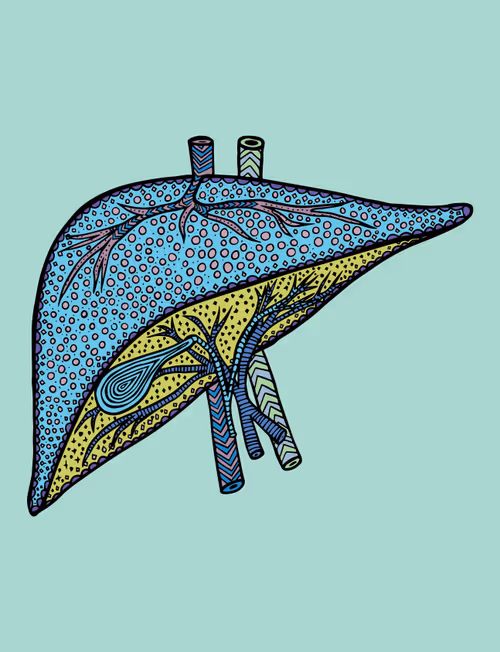 Item #28824502245252267217549902857601847351510039266873569823091148286573225705473 Media