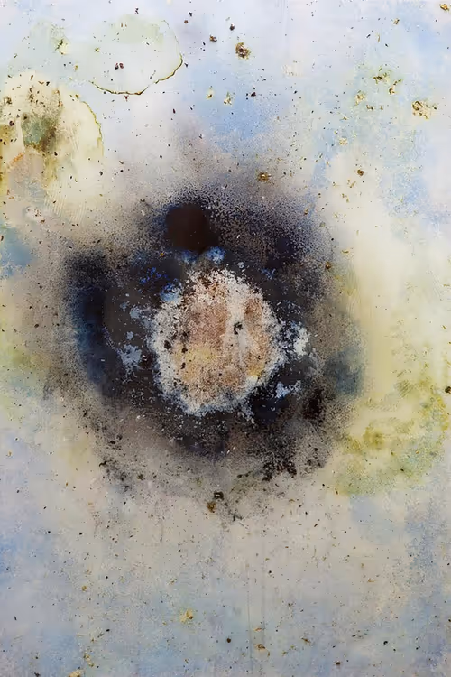 Item #111264774895172989553606282022194155892745764425417346937131400138840321556481 Media