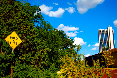 Item #72956552371939263149680114795764900729888036276229086091707581223003282735105 Media