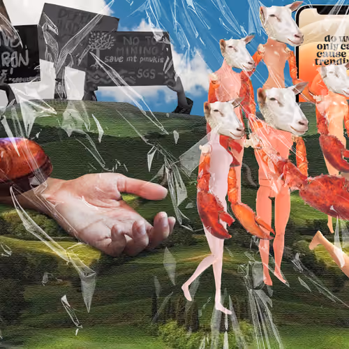 Life in Plastic 000