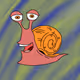 alien snail