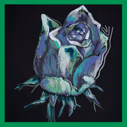 5779281467826994107992422148601232503379904017104496064971971594341916344321