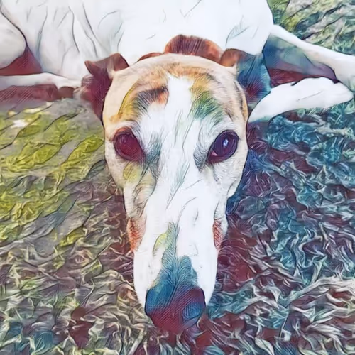 113233535435930126246803406212525192330824104616936385021501681194615456137217