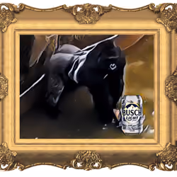 RIP Harambe