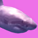 71618588863612067549416053592141971119574161476598517421443593733328957603841
