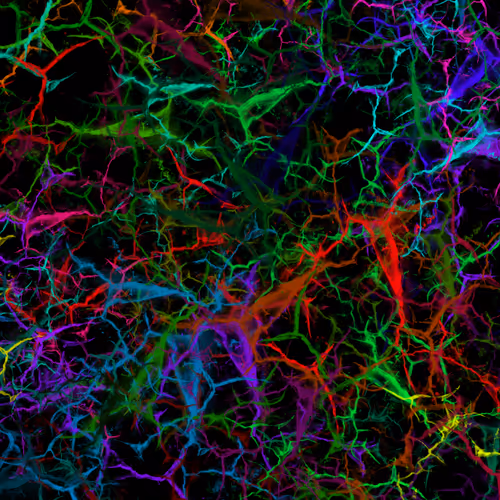 Item #50918555062582210159273167721725581522404743190091886750106034880594585845761 Media