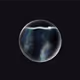 40804310071733365275887890528613580253170009105884358269229708403461081530369