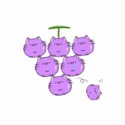 "Punnyago"grape