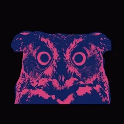 Owls