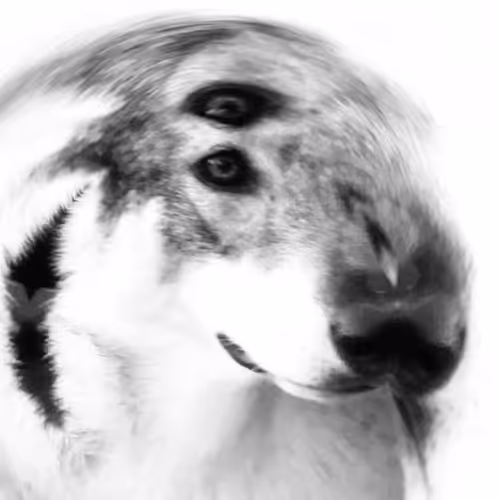 ValeryLatypov Collection