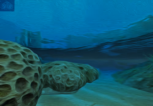 Item #55123075111908170996592633347009248914109894940480420050052871368386879160322 Media