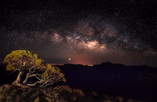 Item #94729080485503513708329965317332491879903775520225674536844109514898141085697 Media