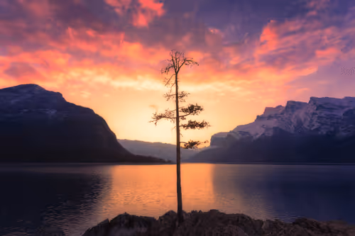 In Search of Stillness: Journey through the Pacific Northwest