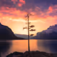 In Search of Stillness: Journey through the Pacific Northwest