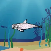 Etherfishing