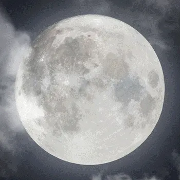 Item #52635344672284344927127524699842754890173282704640420392144903508084272398337 Media