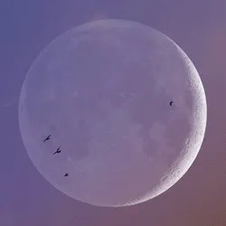 Years of our Moon
