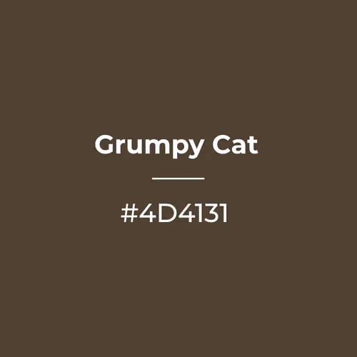 Grumpy Cat #4d4131