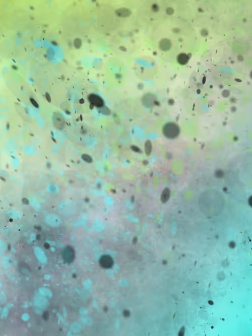 Item #35097085519408794533183264540696956340326860122237526877848050020957659594753 Media