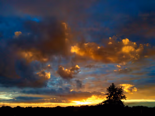 Item #79655167907517619364713975577317788096264741034631426669771217884428917276673 Media