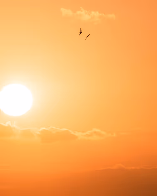 Item #61140817841535323188943582947873458398896939162862574355994582728233390702593 Media