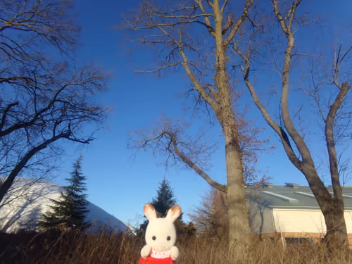 Item #61051240571971779841838649405693456424568018504308900476674196655369281863681 Media