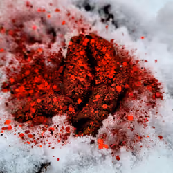 Rubies In the Snow Shit