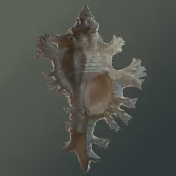 52731811376675267288984597278848787403822616983908711459941415291515129823233