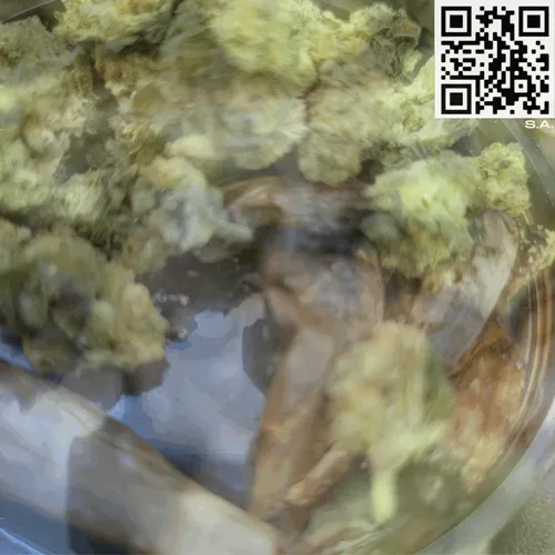 Item #61089433673675855013240100592429788426200334601701735580530433911536306094081 Media