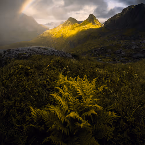 68 North - Collector Editions