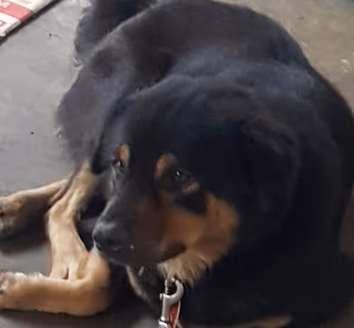 Item #56055091060271351536523847984853154360378800009370414984463609015189704278017 Media