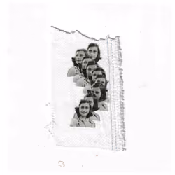 Collage 