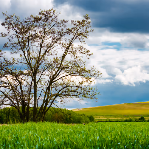 Item #103686277115178527412315898511256896200639863012682764514094226649684818001921 Media