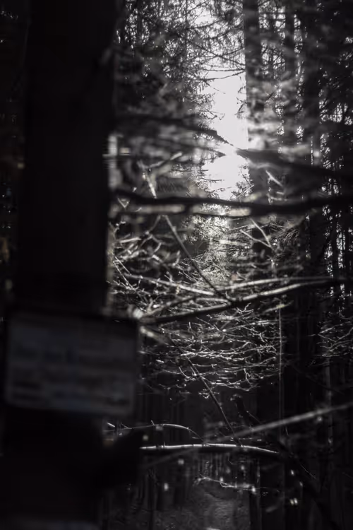 Item #19781356888819471498000340632197241688759381550168606283185821385059374989313 Media