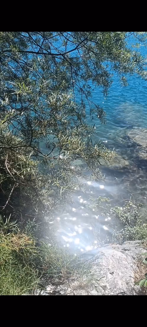 Item #15979328772054559292347926567313131340413944394506991820283694675971394240513 Media