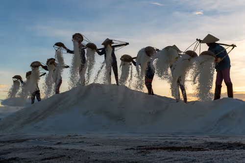 Item #44380994338133063636427405274069008736849147253072084515634940310707490521089 Media