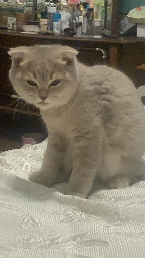 Item #96986368968925734025335421758268255061026062910517438069670885953129595011073 Media