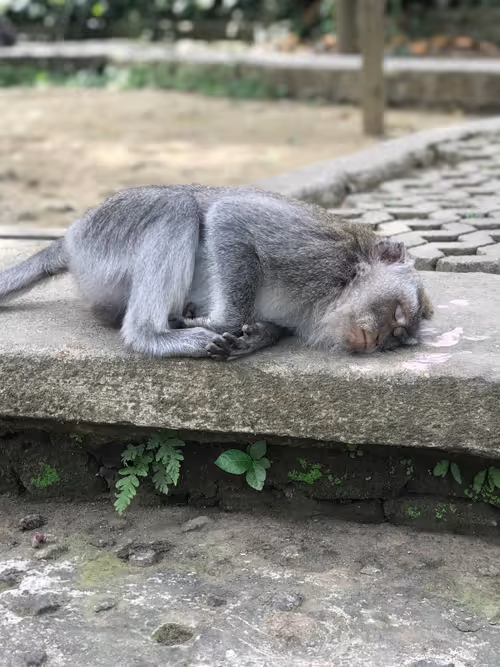 Item #87609363842710465991682086975489356954214862869006387514816886314340502732801 Media