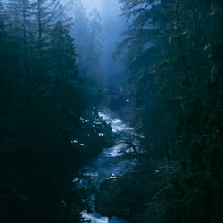 Surreal Tranquility