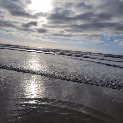 Officialking Collection