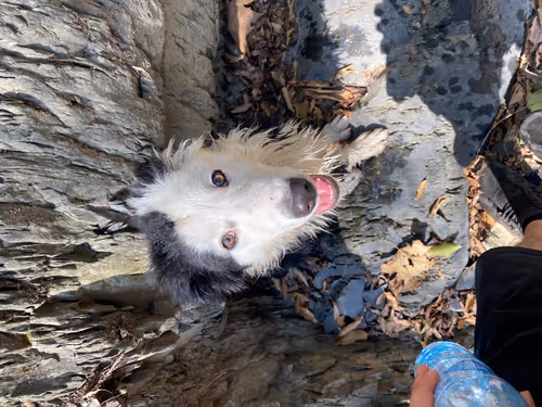 Item #83111021423020251048767838814591364957064953220703550735625925926745632931841 Media