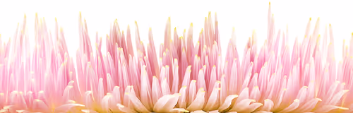 Item #114078511333310576498177918881728262953412999015096493674529471660084982448129 Media