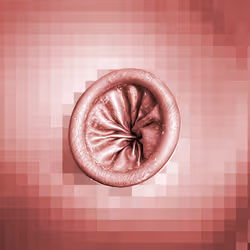 112443806312787433902540167291229144376569237612293574157816900166499126214657