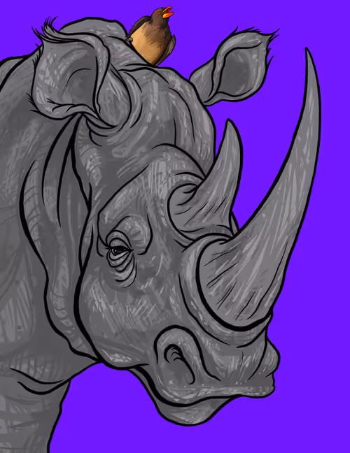 Item #60342236005163987948556802886235213316063293567500632170058184720246527492097 Media