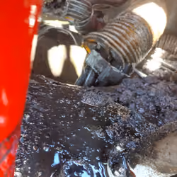 Nice Turrent Leak